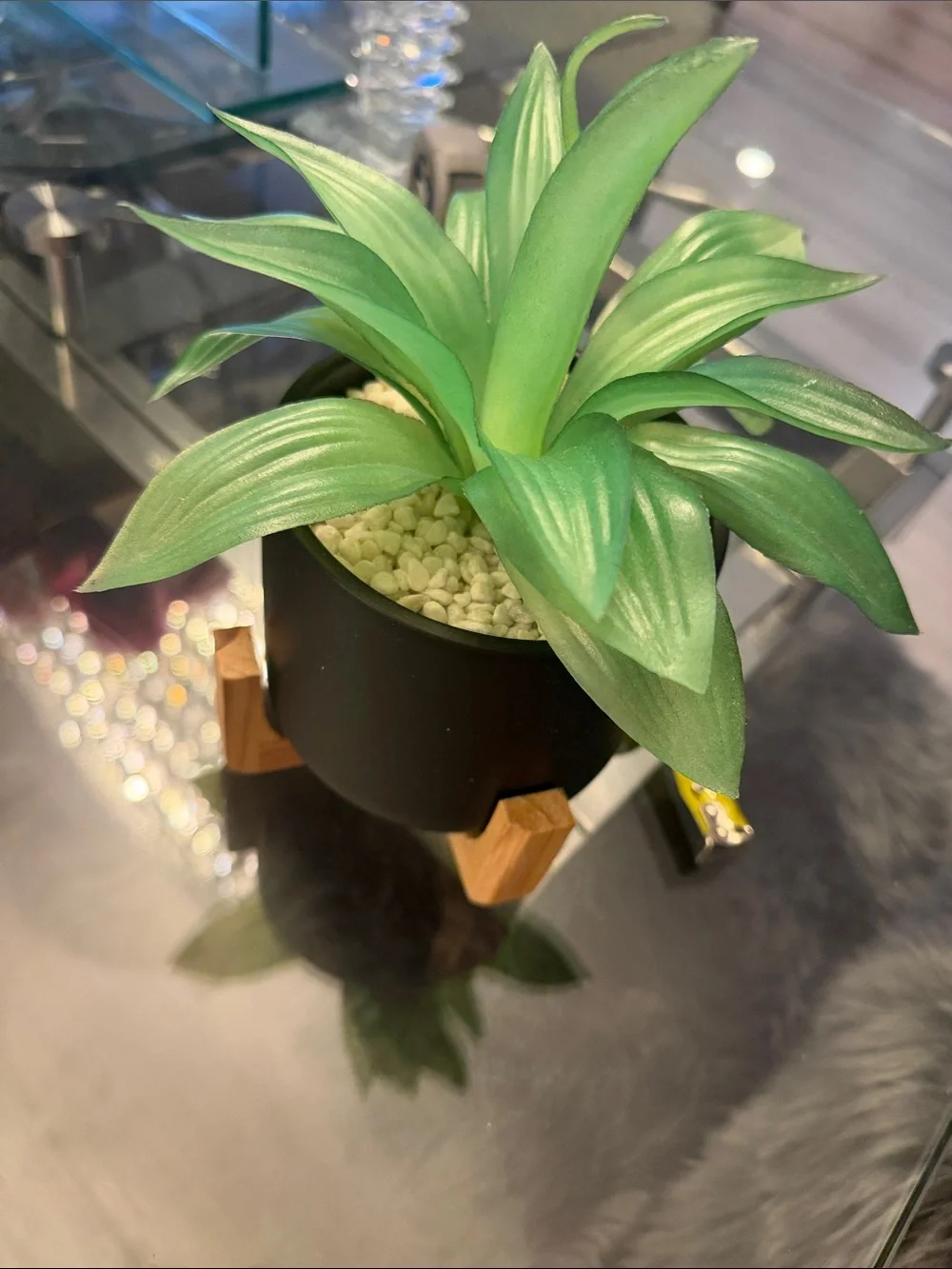 Artificial Green Succulent in Black Ceramic Pot with Wooden Stand